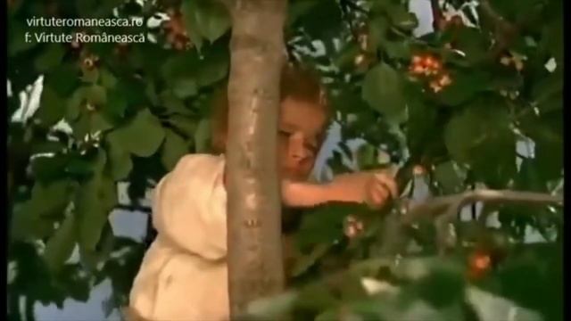 Trăiește clipa copilăriei ! смотреть онлайн