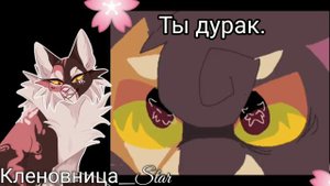 #17 Утерянные файлы /Остролистая #2 / коты воители