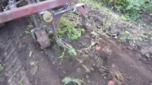 Самодельная картофелекопалка на МТЗ Акимыча , модернизированная!