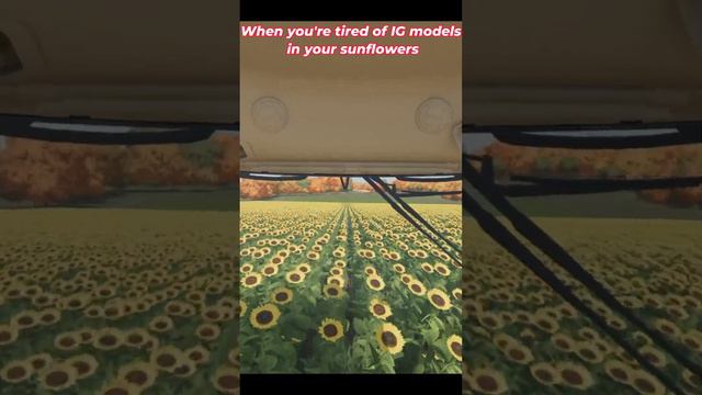 Removing IG Models from Your Sunflowers in #FarmingSimulator22 #FS22