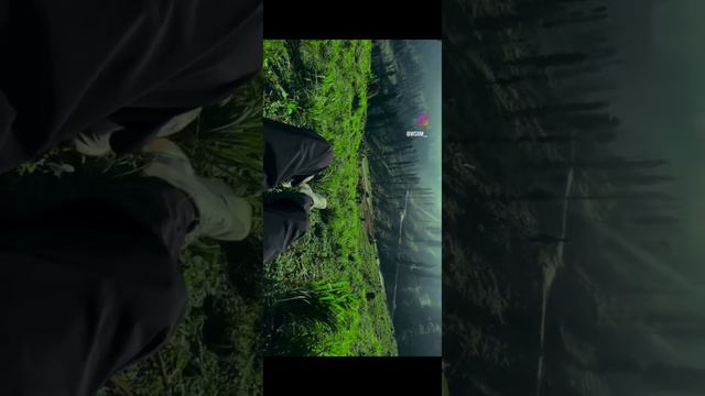 Earth, Лес, Горы 🌿 смотреть онлайн