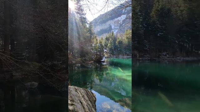 Blausee Naturalpark Озеро в Швейцарії #travel #views #reels #video #switzerland #trend #trending