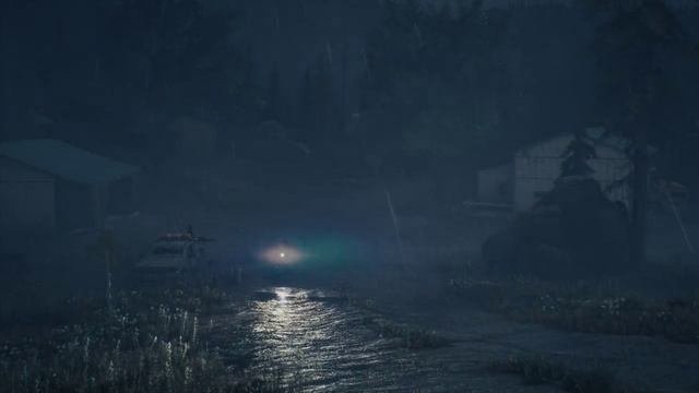Days Gone 8