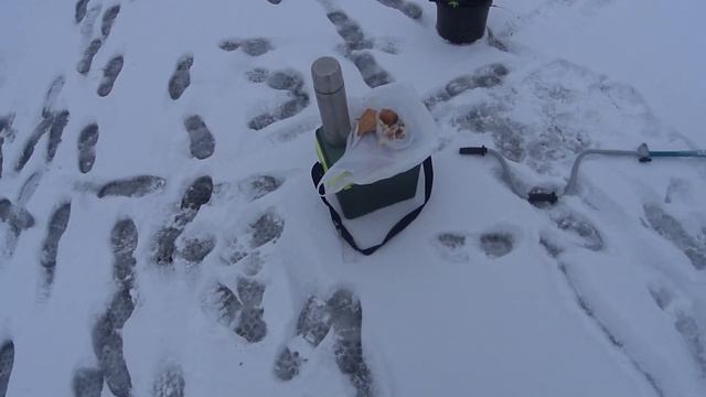 Рыбалка на жерлицы!!! Выход щуки! смотреть онлайн