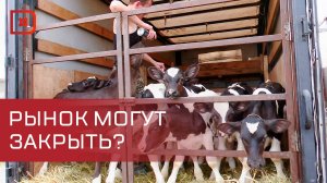 Рейд на скотном рынке в Хасавюрте. Могут ли закрыть торговую точку?