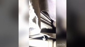 Снятие пыльника и корзины сцепления Газель НЕКСТ эвотэк
