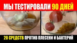 Прошло 90 дней. Тест 20 средств против плесени и бактерий. Помидоры На Зиму