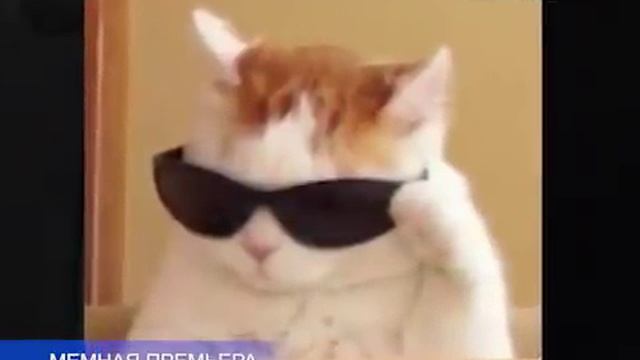 леон... смотреть онлайн