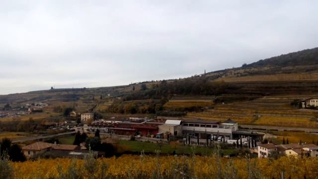 Виноград в Италии, регион Вальполичелла смотреть онлайн