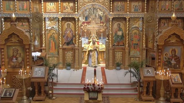 HVC 2023-02-12 Liturgy Prodigal Son Воскресенье о Блудном Cыне смотреть онлайн