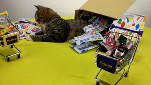 ЦЕЛАЯ КОРОБКА МИНИ ЛЕНТА 2 | КОЛЛЕКЦИЯ МИНИАТЮРОК КОТА ТИГРЫ | РАСПАКОВКА СЮРПРИЗОВ