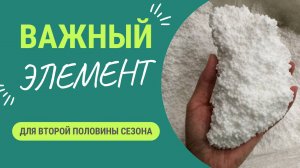 Очень важный микроэлемент для второй половины сезона, про который многие забывают