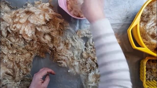 Работа с флисами. Разбор флиса wensleydale смотреть онлайн