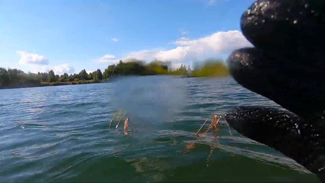 Подводная охота на Карьере с новобранцами | Мы Люди воды