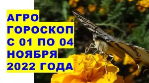 Агрогороскоп с 01 по 04 ноября 2022 года