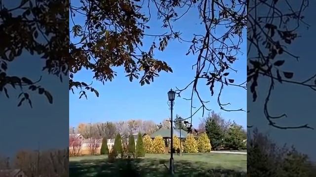 Video.Guru_20230620_141325973.mp4 смотреть онлайн