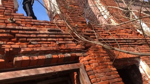 INSULATOR HANTING | Коломна смотреть онлайн