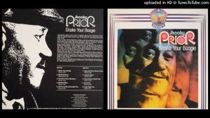 A1. Snooky Pryor - Shake your Boogie