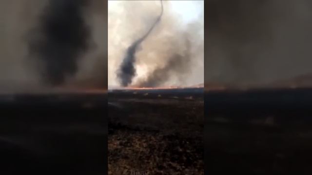 Огненный счерч в Забайкалье, еще видео