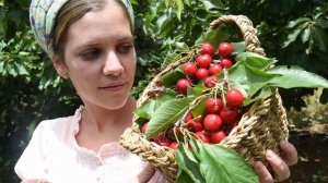 Эта ягода подарит молодость, красоту и избавит от лишних килограмм. Черешня: польза и вред