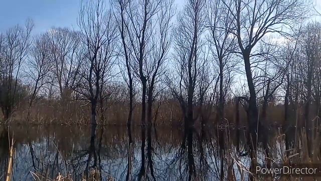 Рыбалка в карантин.