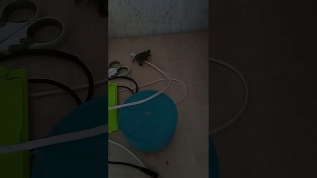 маленький паркурщик смотреть онлайн