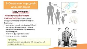 6.1. Заболевания гипофиза