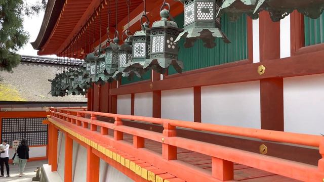 世界遺産 奈良春日大社を散歩 4K HDR #japan #japantravel #4k #walking #worldheritage смотреть онлайн