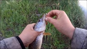ЩУКА НА УЛЬТРАЛАЙТ. МАЛЫЕ РЕКИ
