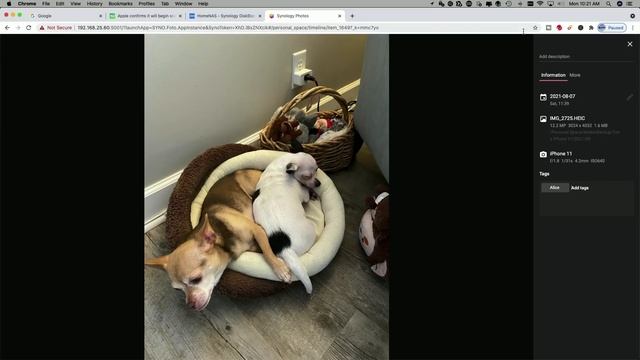 I Switched To Synology Photos смотреть онлайн