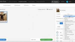 Как грузить фотографии на Adobe Stock? 1 видео-урок
