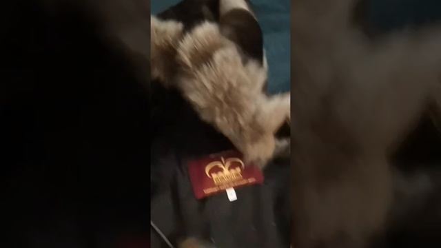 Шуба детская мутоновая смотреть онлайн