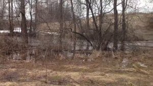 Арнеево. Спуск к Речме