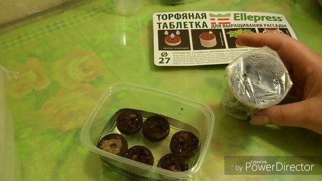 Калибрахоа из семян. Посев. смотреть онлайн