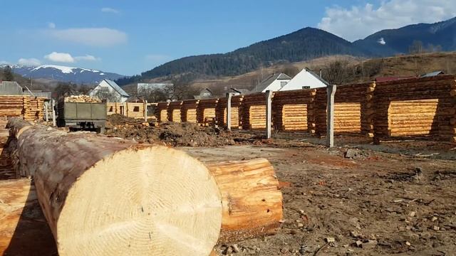 Начало строительства гостинницы Дикий сруб смотреть онлайн
