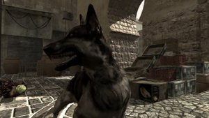 Call of Duty: Modern Warfare - Dog Sounds