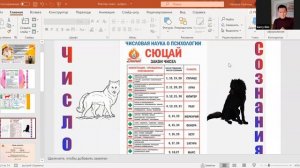 Мастер-класс по Цифровой науке Сюцай / Как гармонизировать отношения