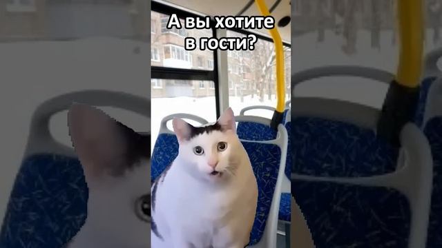 прикол.