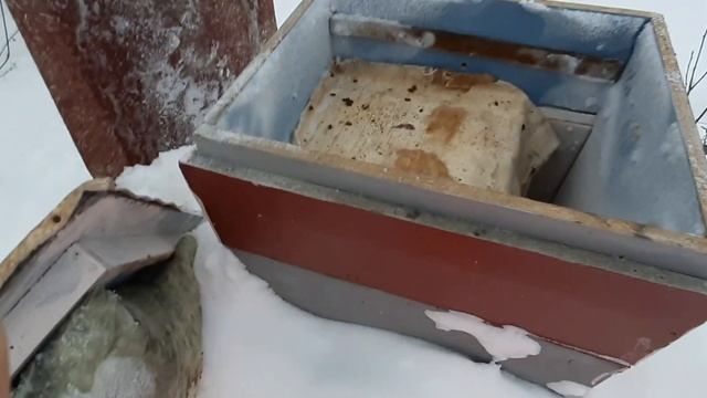 зимовка пчёл на Урале 2022 смотреть онлайн