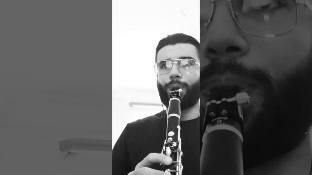 Beethoven Symphony No.6, 1st movement, Clarinet excerpt