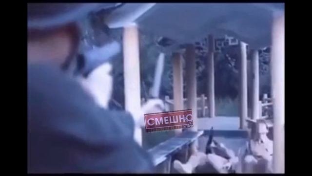 Лучшие приколы!???
