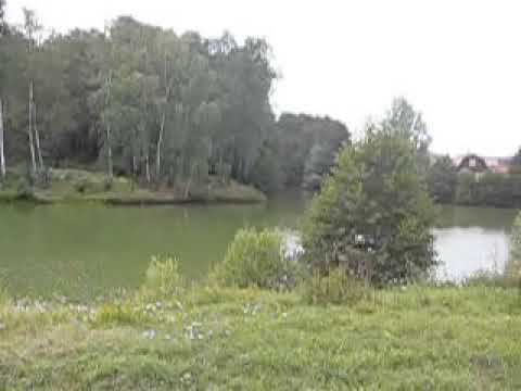 Пруд в Зелёной роще, Домодедовский район (28.07.07)
