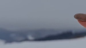 Села западной Украины. Дома жителей некурортных сел в Карпатах. Катаемся на машине по Карпатам.