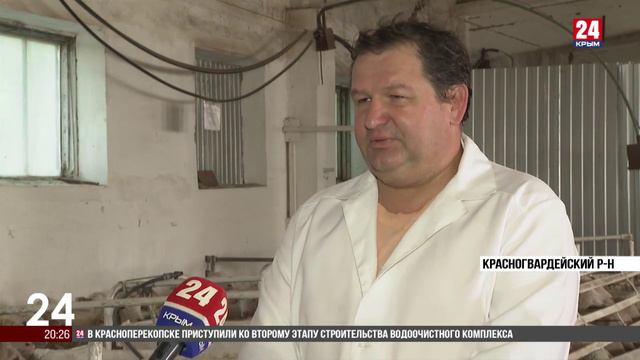 В Крыму началась санитарная стрижка овец
