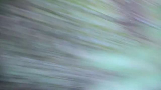 Косуля в кустах, Крым июль смотреть онлайн