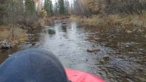 Чудеса на виражах. Абакан 480 джет + меркури 40