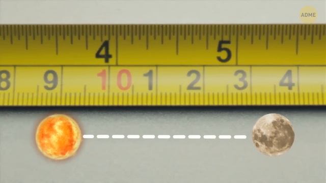 Раскрыто 50+ неожиданных истин о человеческом теле!