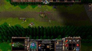 Warcraft III  Reforged War of Races New Version 0.60