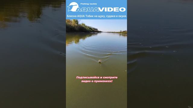 🎣 Блесна для рыбалки AQUA Тобик на щуку, судака и окуня. Ловим на спиннинг или троллинг!