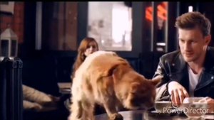 Все песни группы 5sta Family